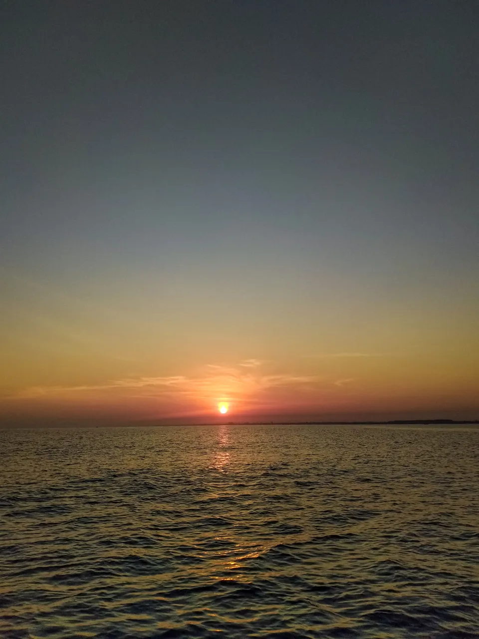 IMG20240319064252.jpg