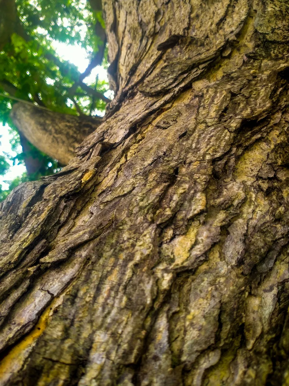 IMG20230702122801.jpg