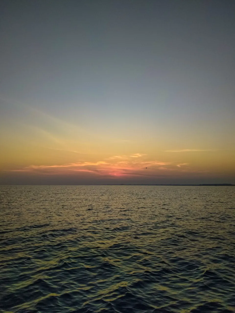 IMG20240319063338.jpg