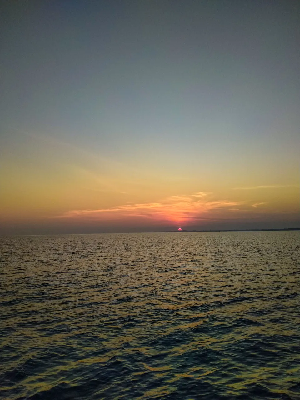 IMG20240319063746.jpg