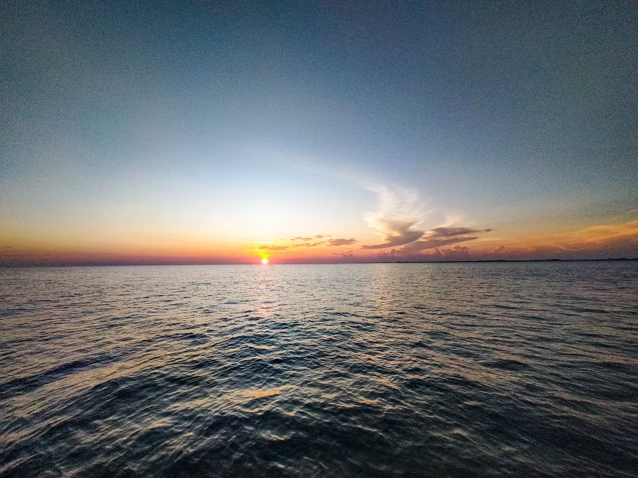 IMG20230602062021.jpg
