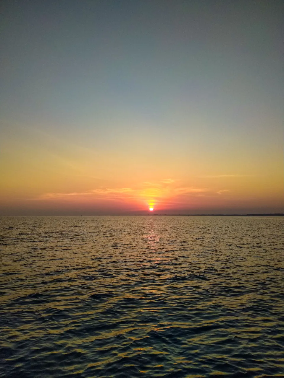 IMG20240319064109.jpg