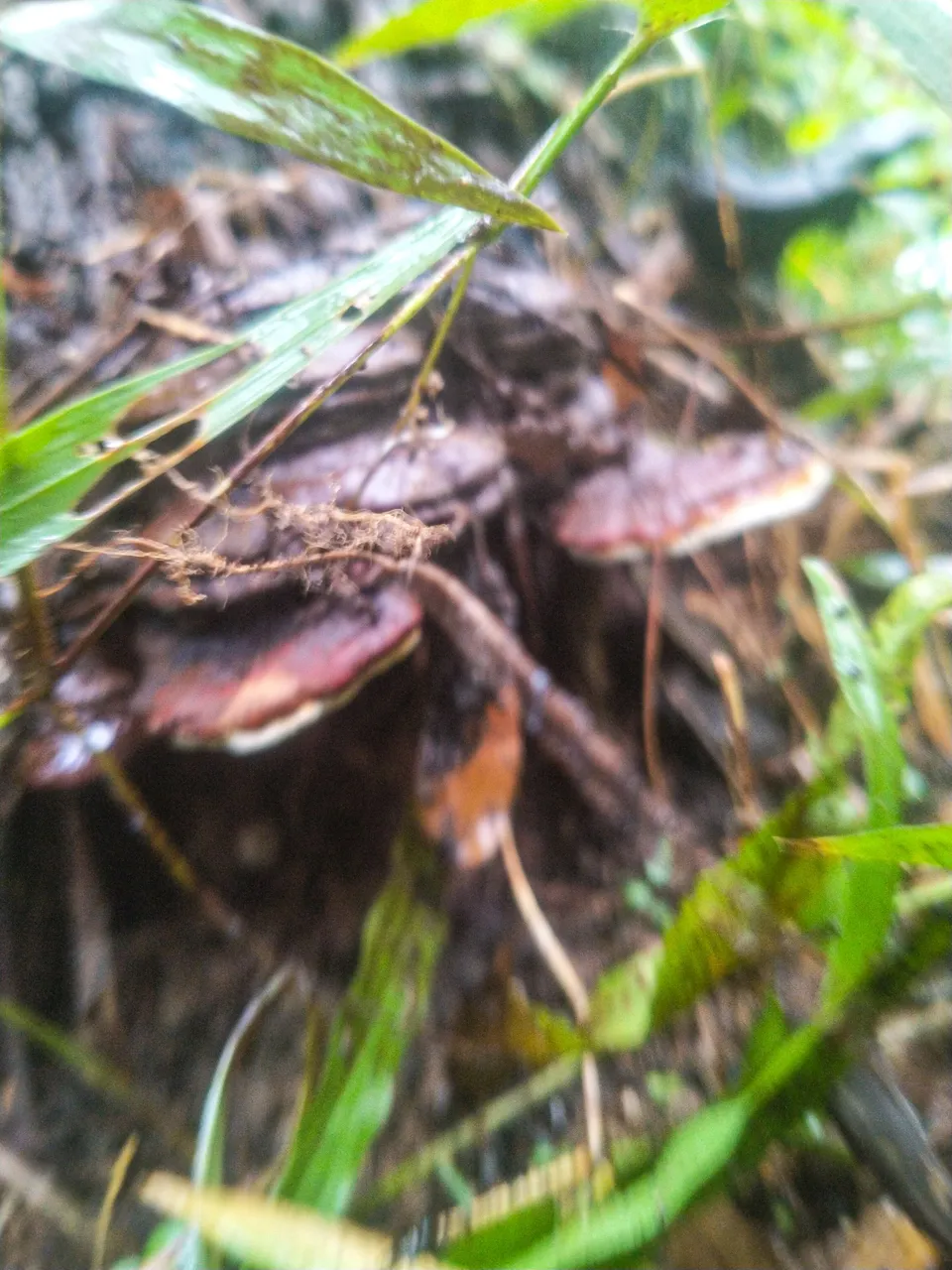IMG20231028135514.jpg