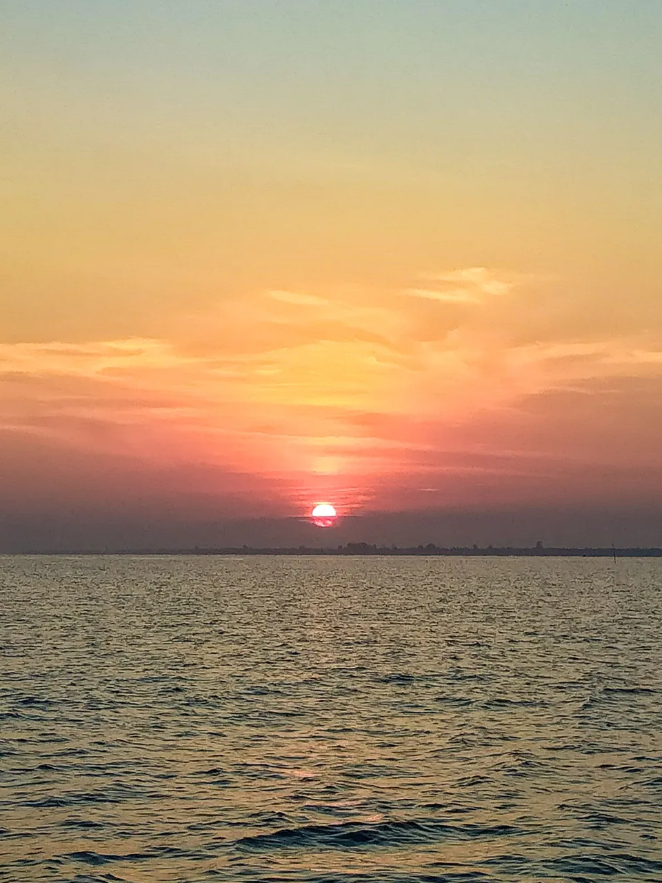 IMG20240319064016.jpg