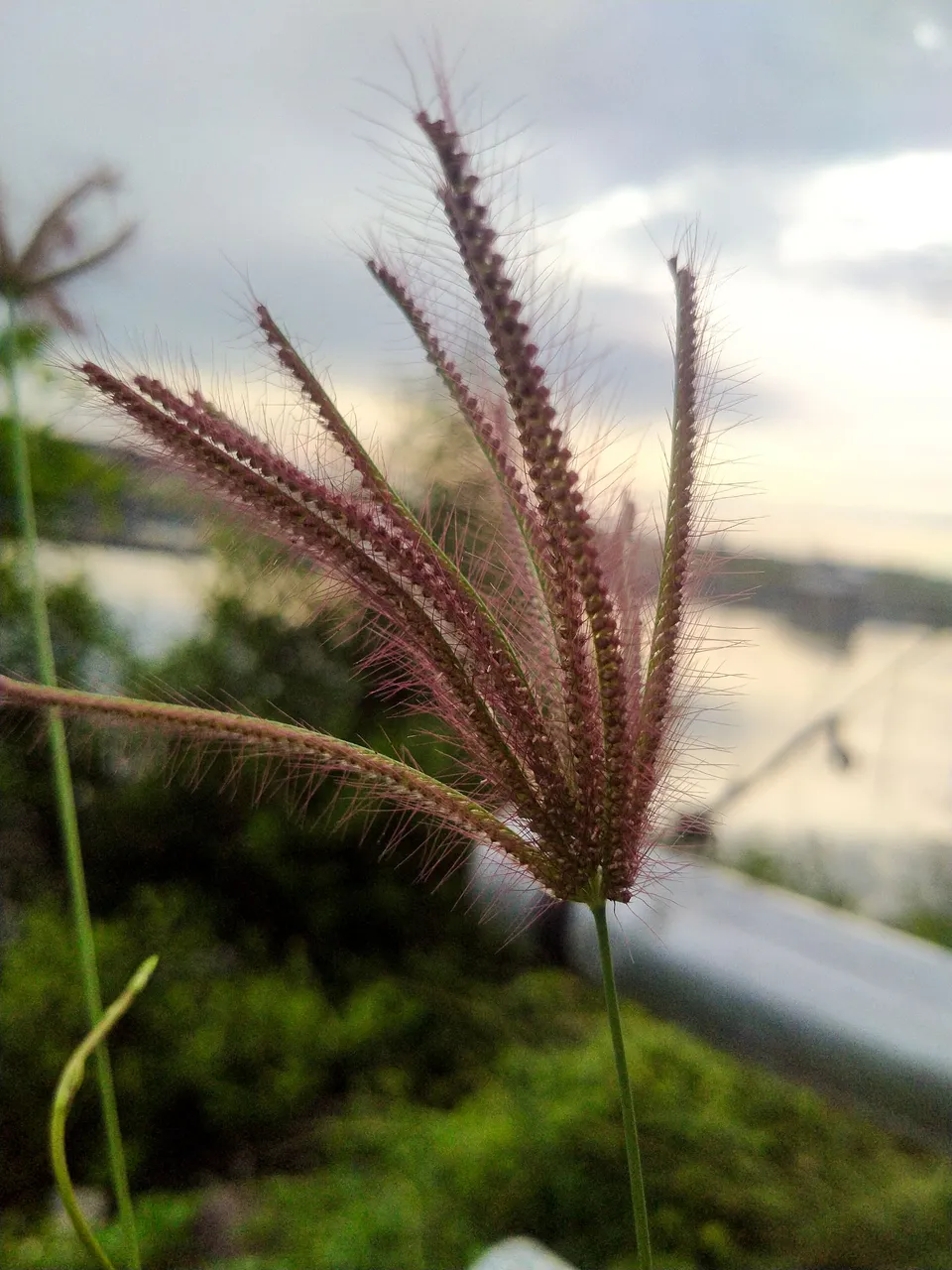 IMG20230607165357.jpg