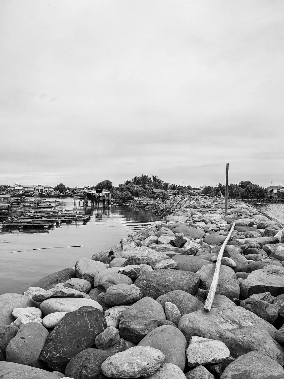PXL_20240729_091334868.jpg