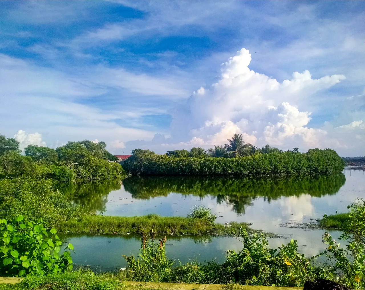 IMG20230706165229.jpg