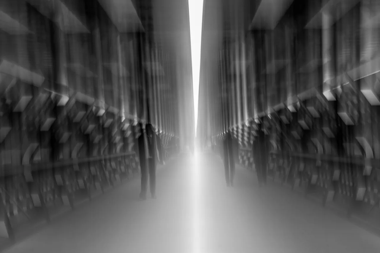 Canary3_DSC07636-mono.jpg