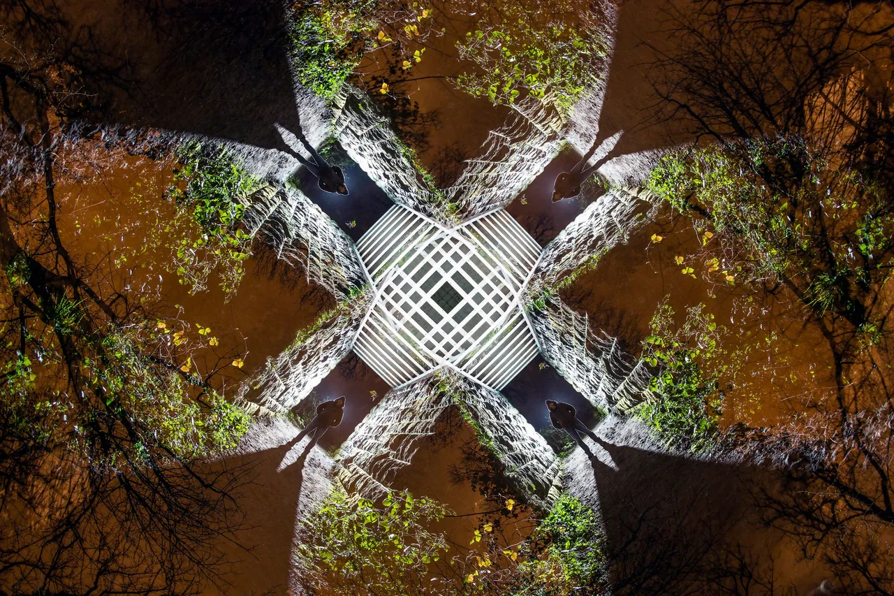 Forth-Dimension_2022-edit-rfs.jpg