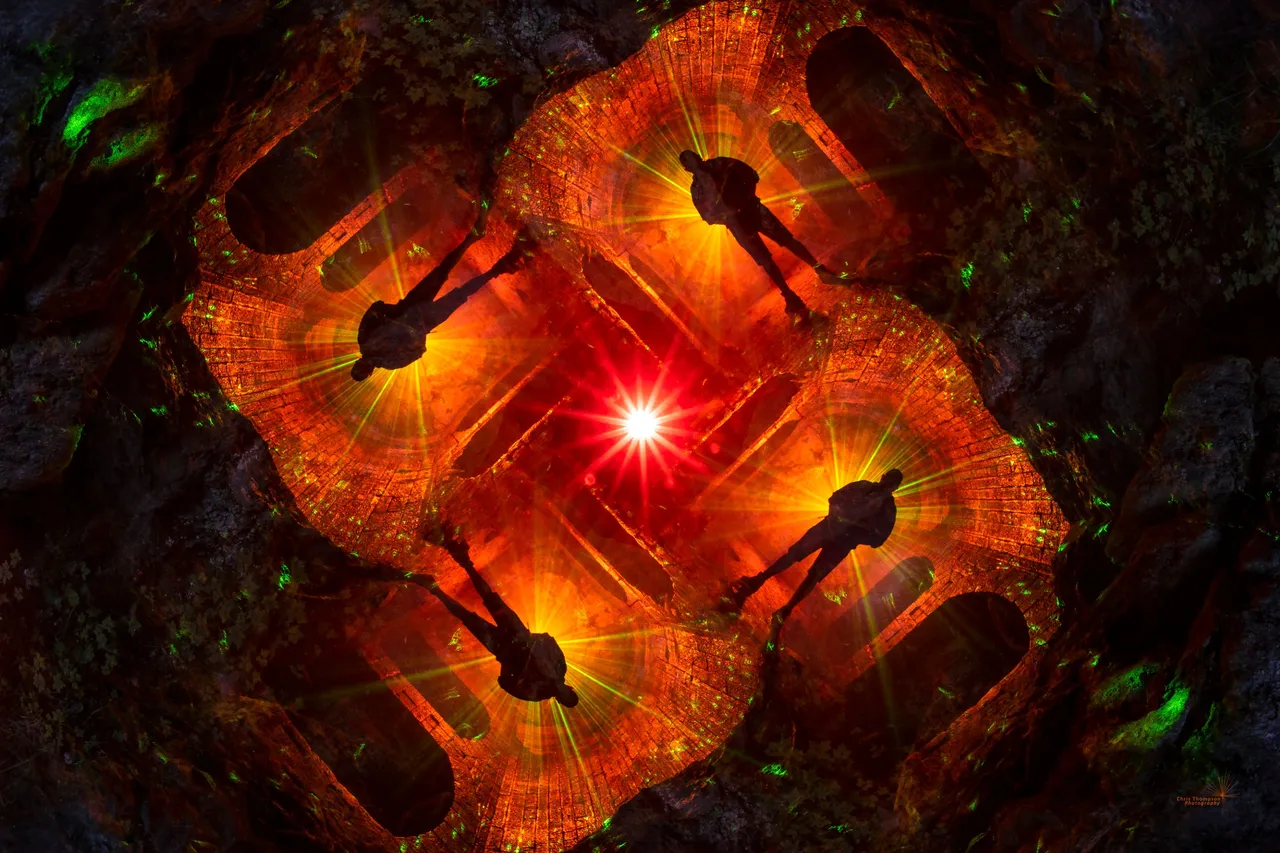 48583669987_c40216a604_o.jpg