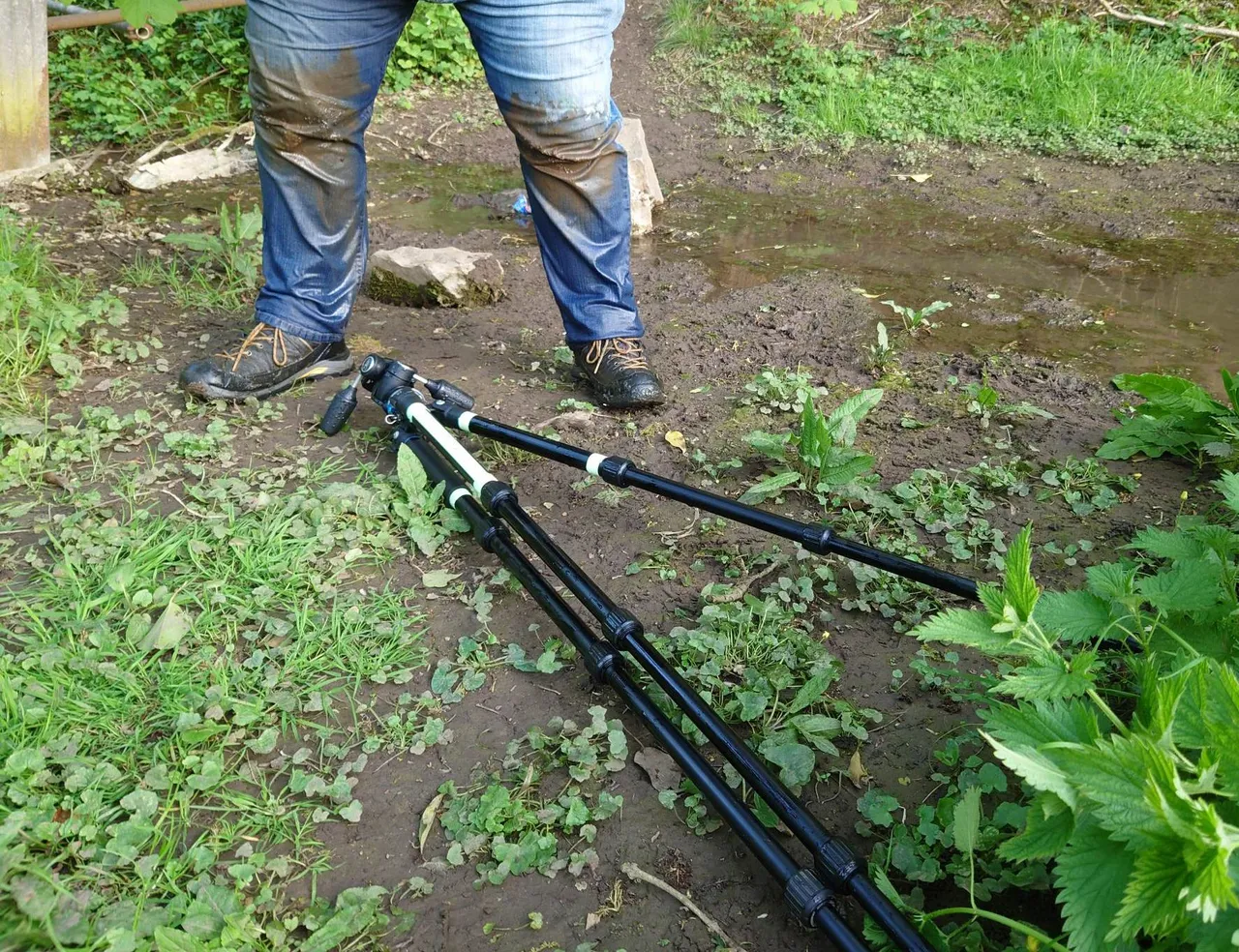 Muddy-again.jpg