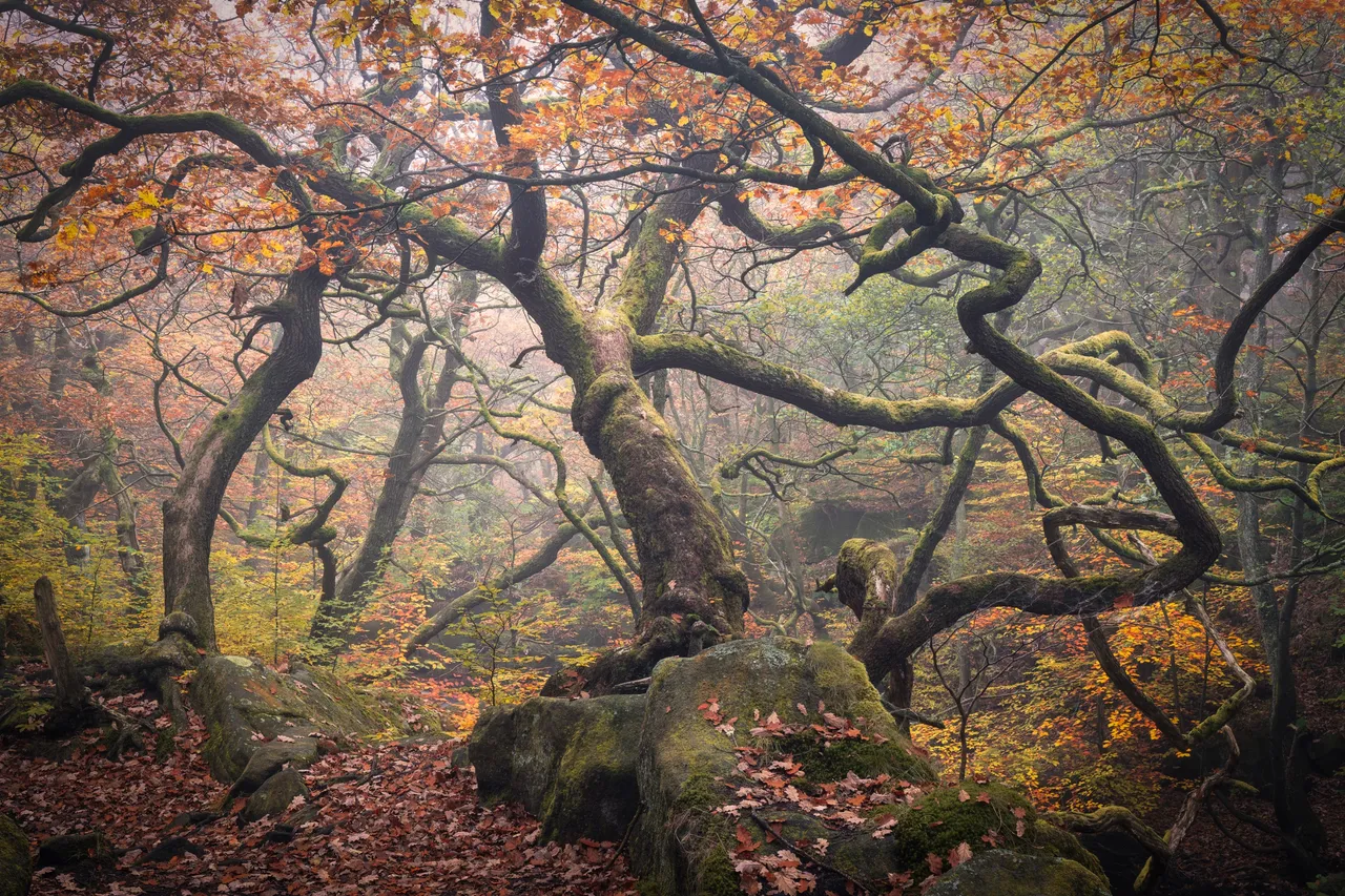 Padley6_Hive.jpg