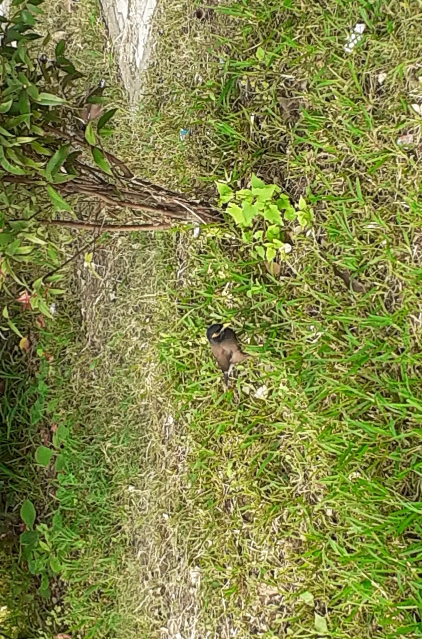 InShot_20210325_005535516.jpg