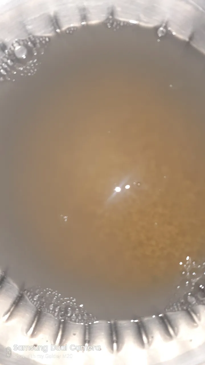 20210323_135052.jpg