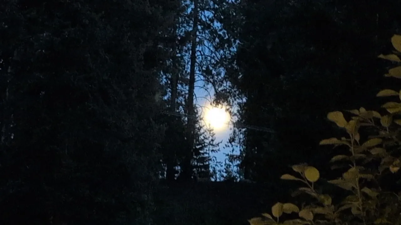 IMG_20250803_205901.jpg