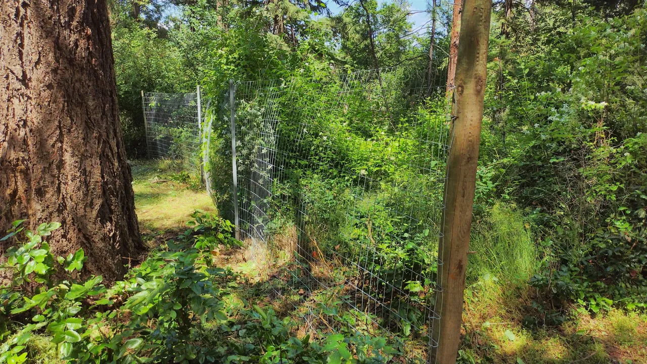 IMG_20220706_131640_HDR.jpg