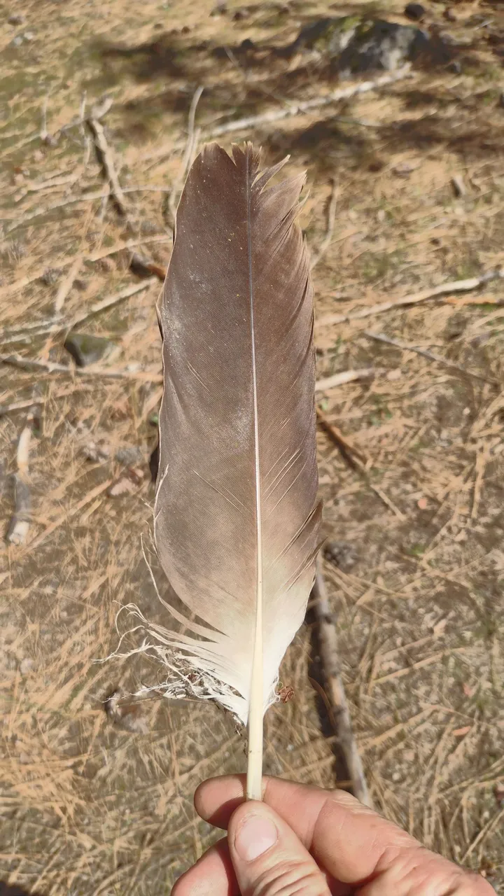 IMG_20230414_120815_HDR.jpg