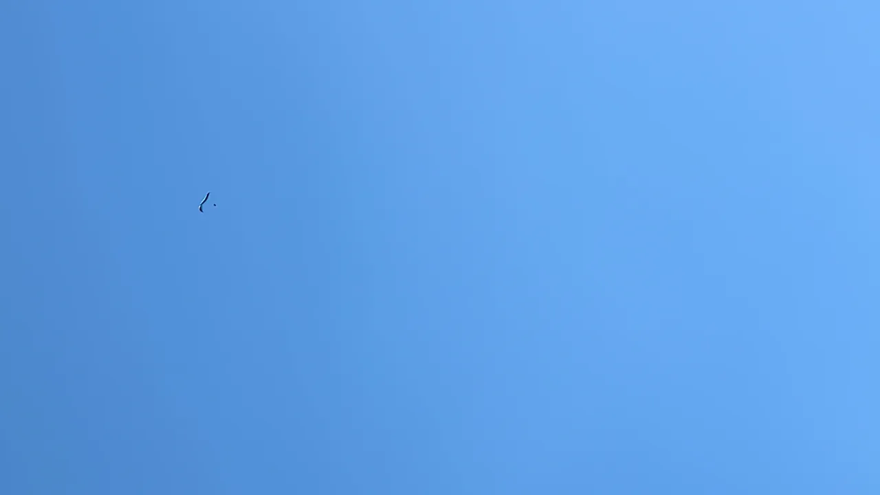 vlcsnap-2025-07-11-21h53m23s777.jpg