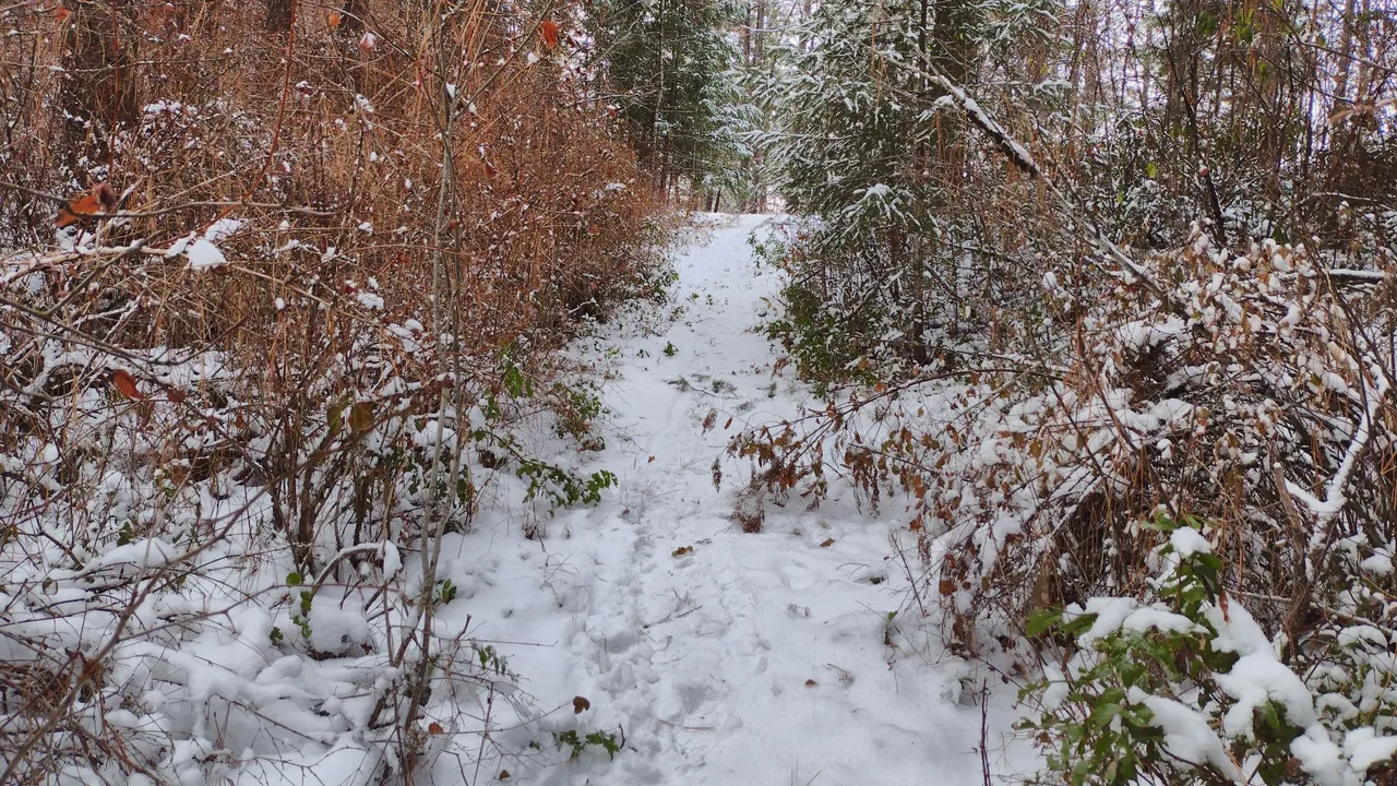 IMG_20221129_110952_HDR.jpg