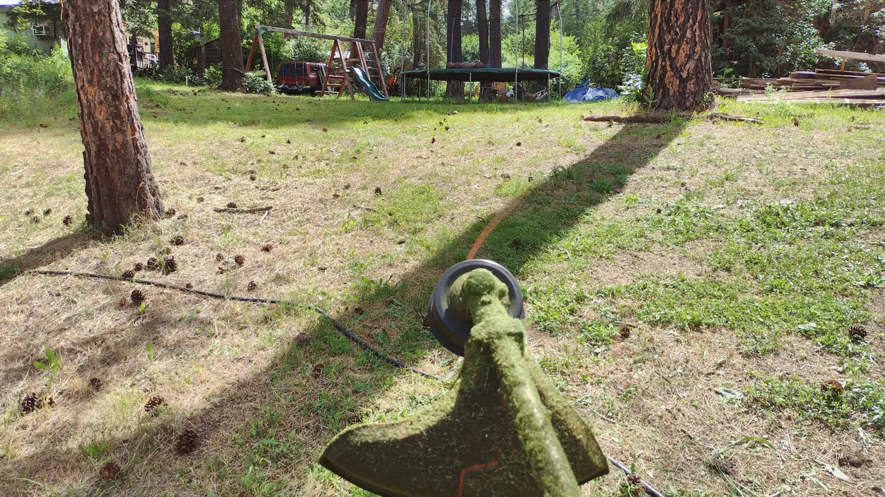 IMG_20220629_111019_HDR.jpg