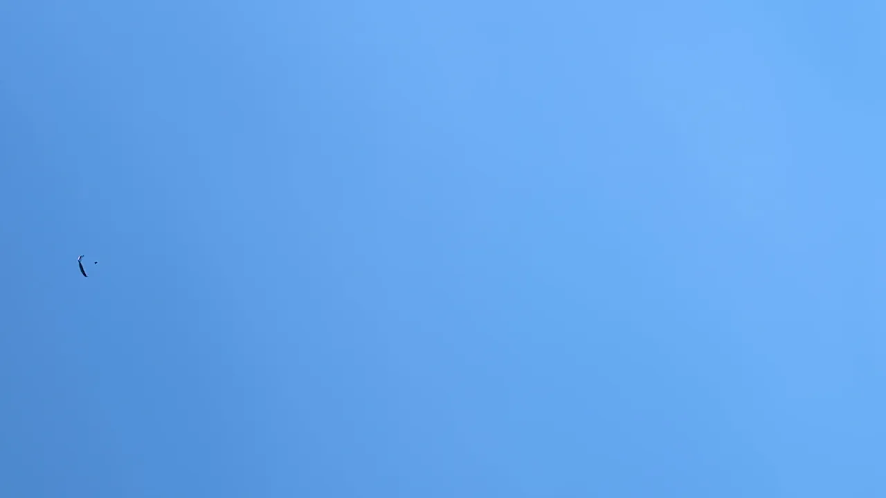 vlcsnap-2025-07-11-21h53m40s608.jpg