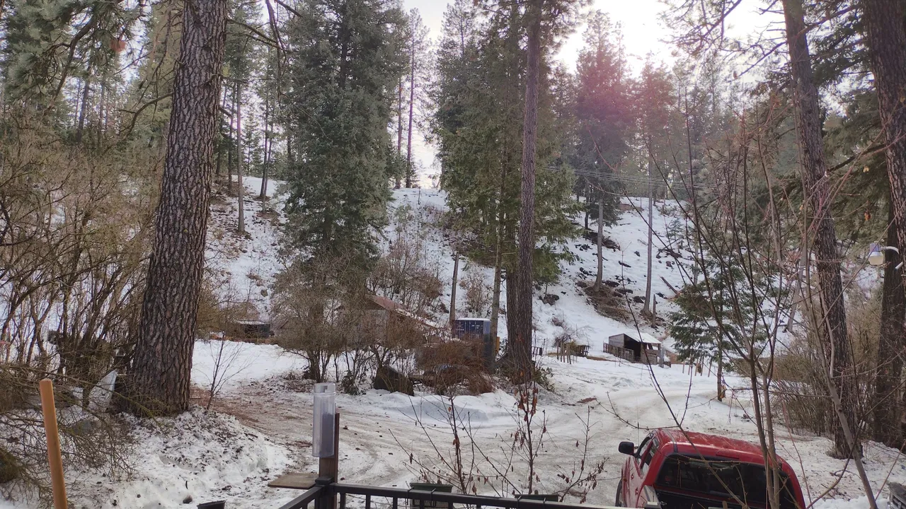 IMG_20230204_133849_HDR.jpg
