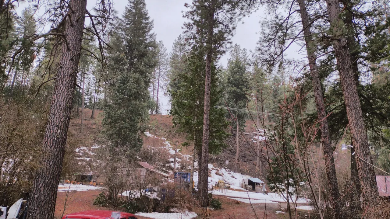 IMG_20230324_094130_HDR.jpg