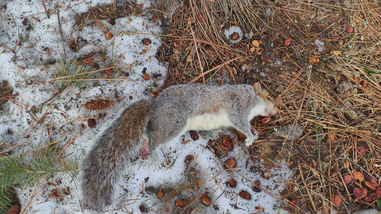 IMG_20230204_141553_HDR.jpg
