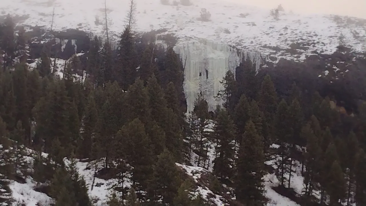 IMG_20250226_072534.jpg