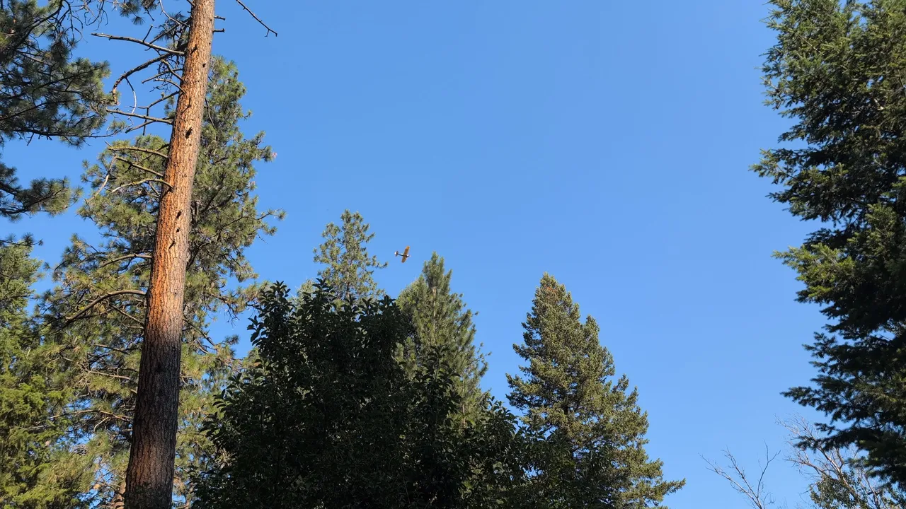 IMG_20250802_091221.jpg