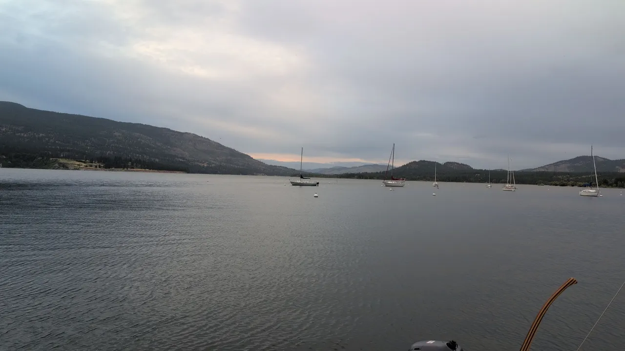 IMG_20250704_200711.jpg