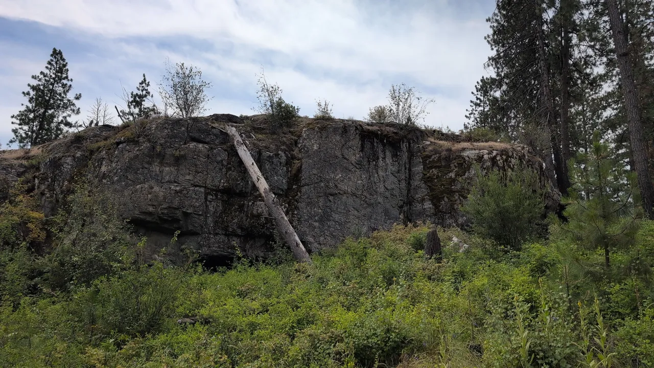 IMG_20250704_105415.jpg