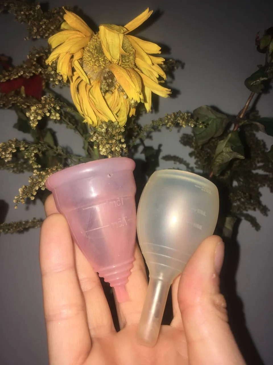 copas 1.jpg