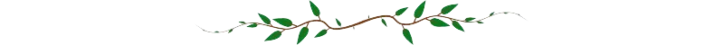 Ast.png