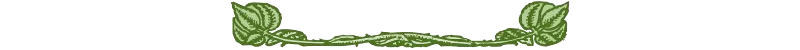 Blatt.balken.png