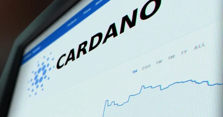 The Cardano logo on a computer screen, used to introduce Cardano (ADA).