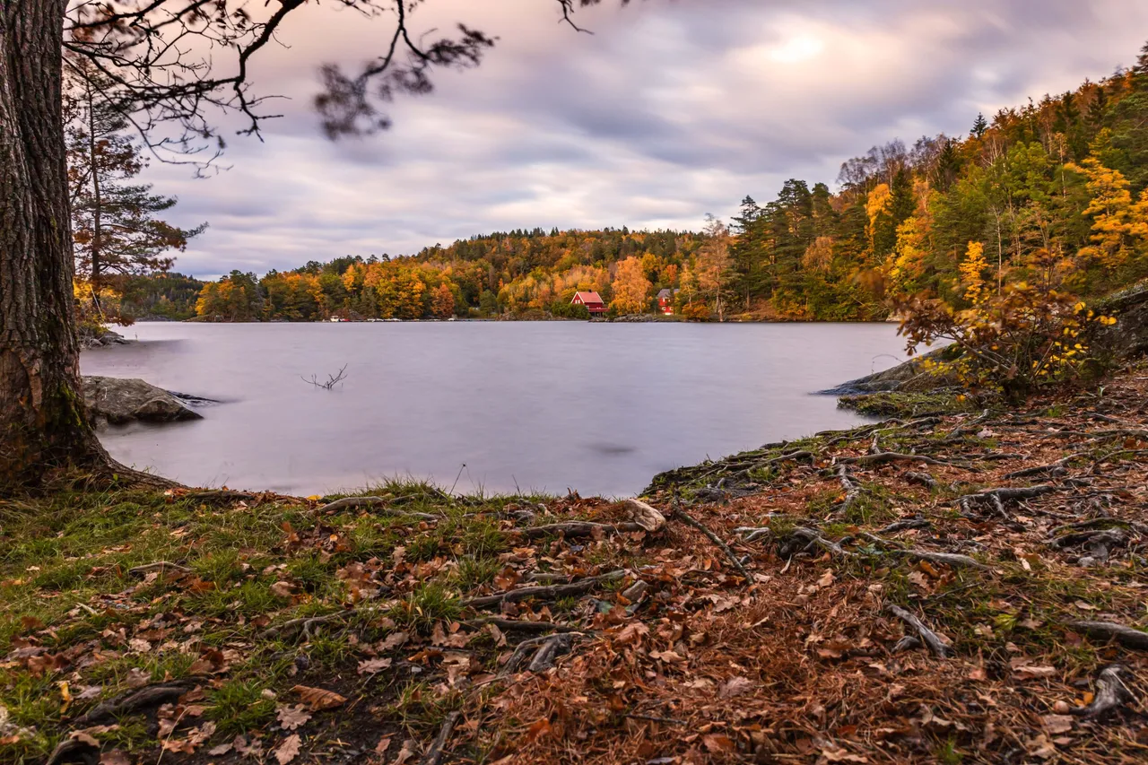 _MG_3089n.jpg