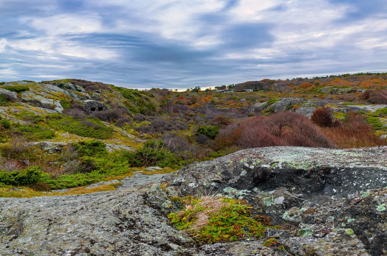 _MG_3295-n1.jpg