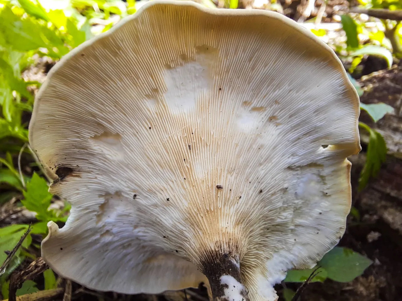 20230613_101641.jpg