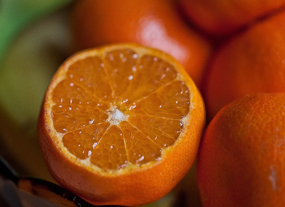 fruit-665621_960_720.jpg