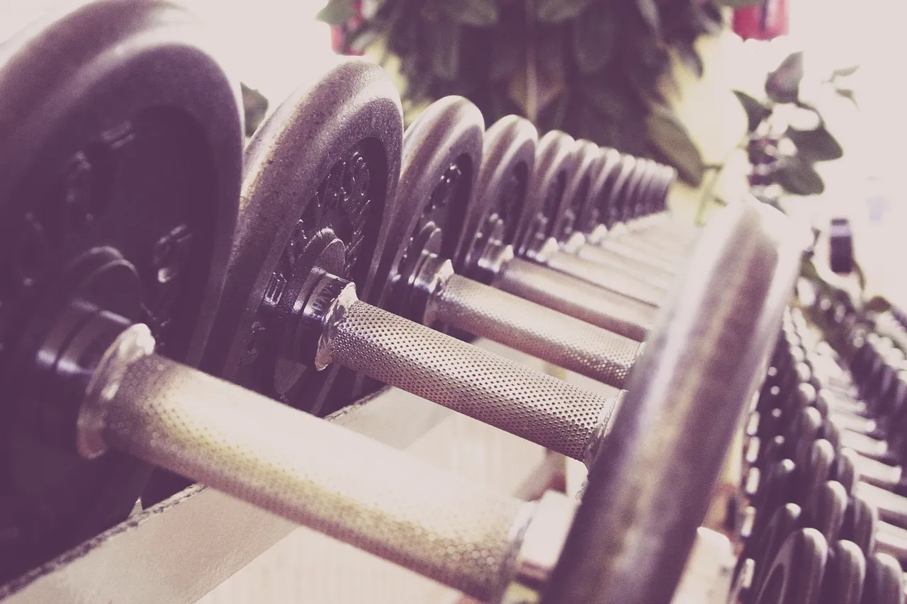 fitness-g273fca576_1280.jpg