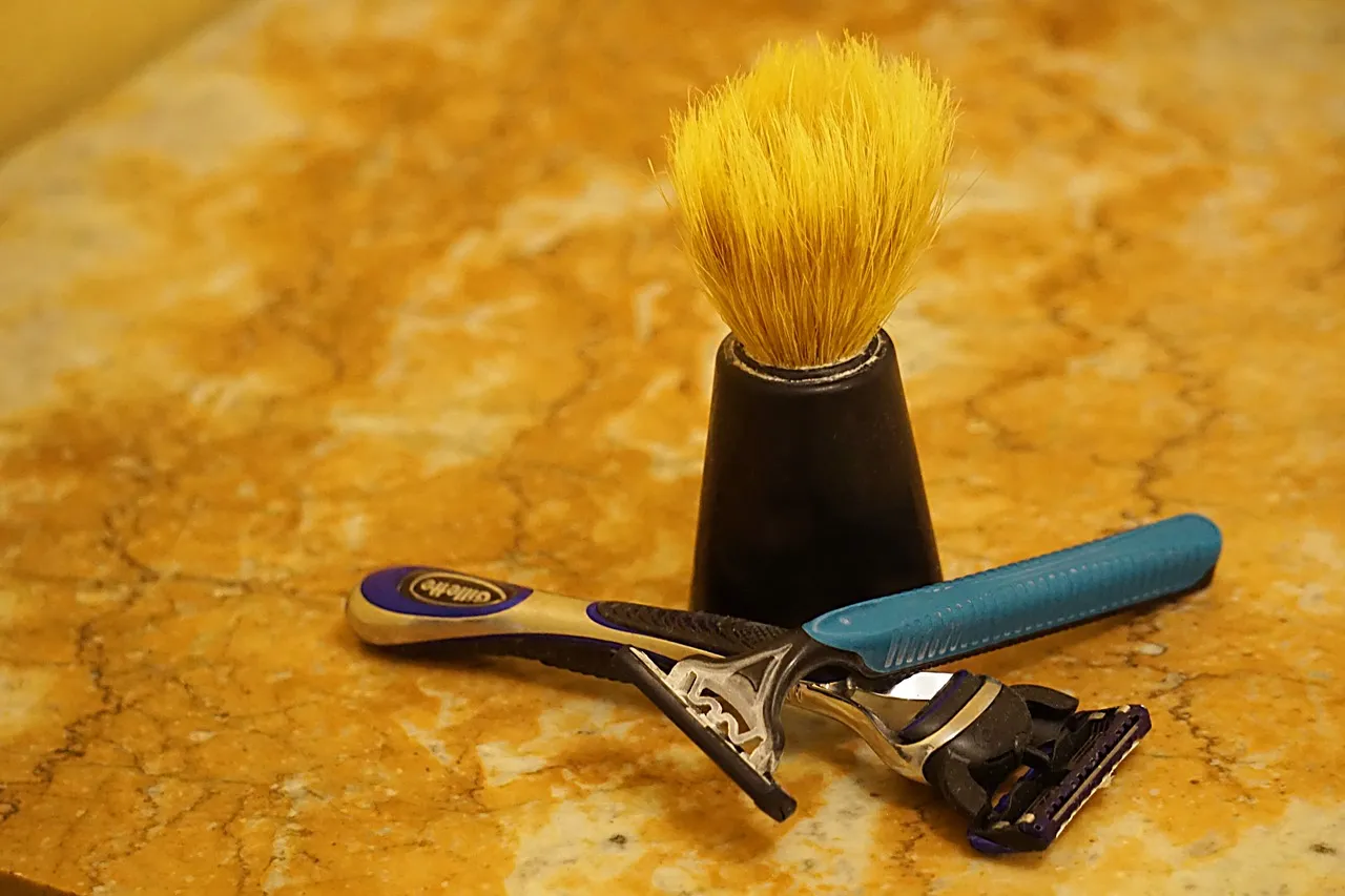 shaving-g6e94228e8_1280.jpg