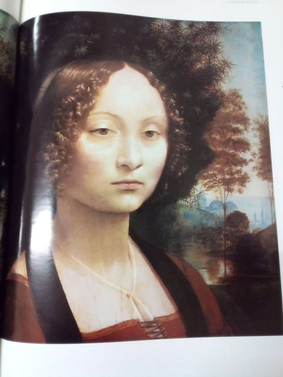 9b.jpg