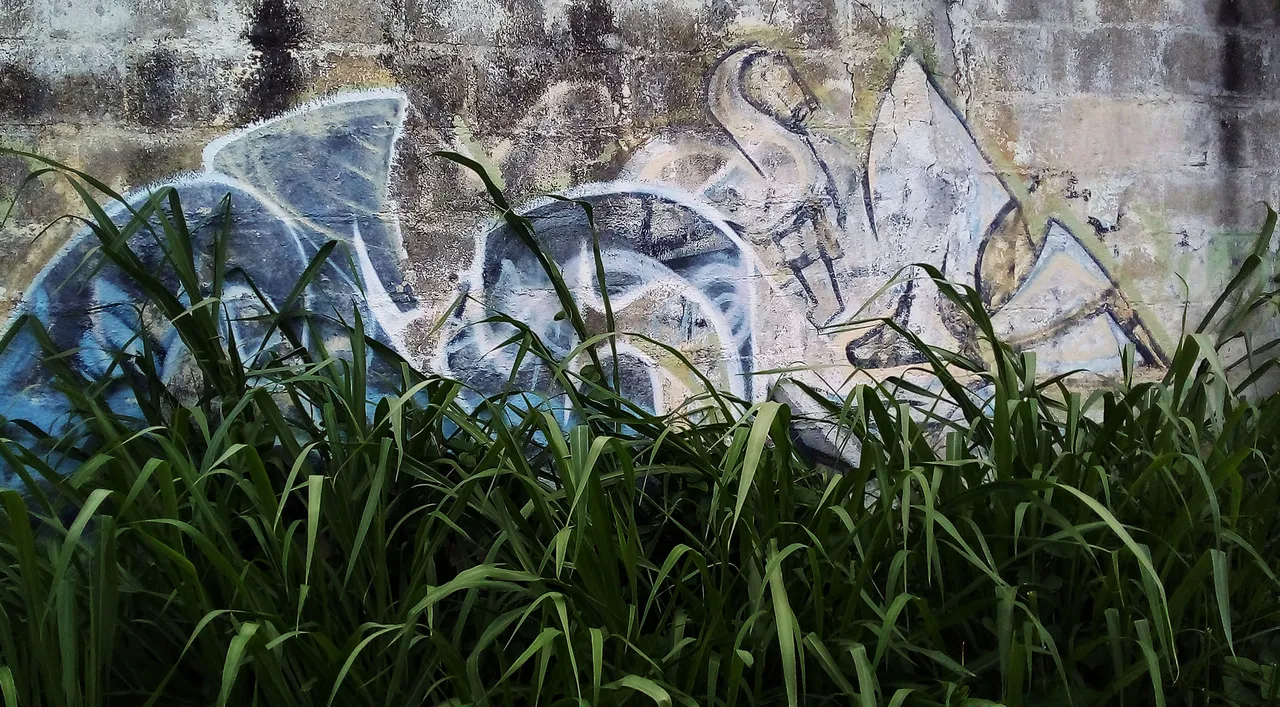 20220627_155012.jpg