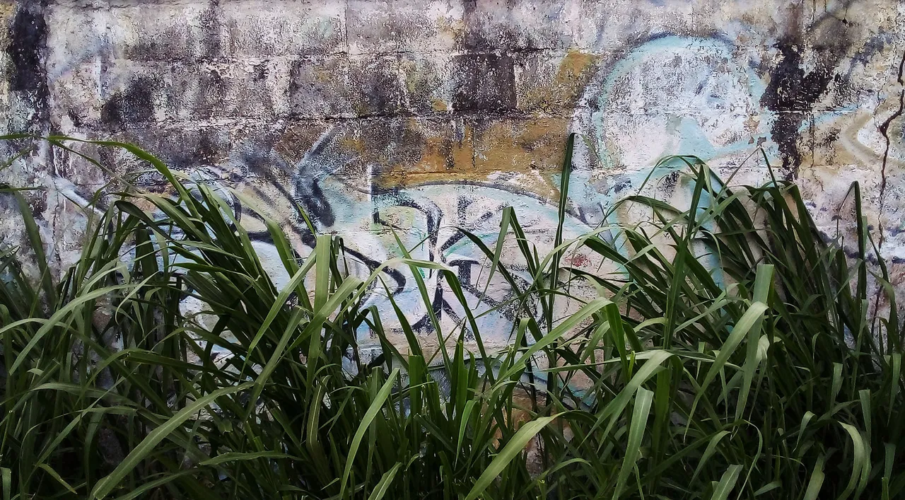 20220627_155025.jpg