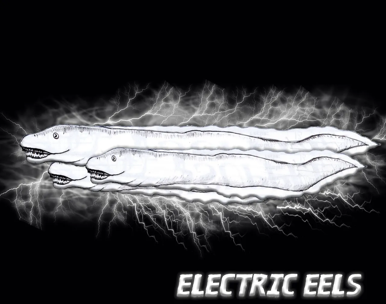 Electrics Eels.jpg