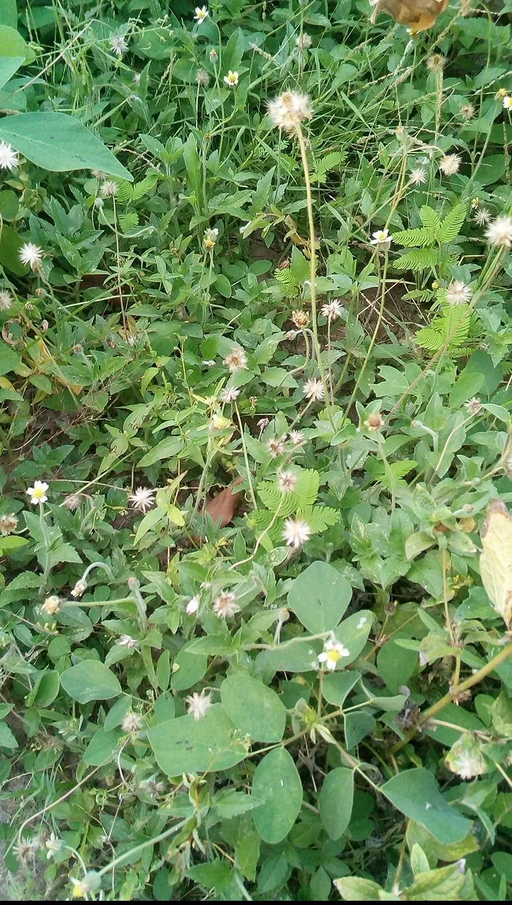 Screenshot_20230906-103251.jpg