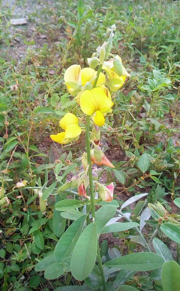 Screenshot_20230906-103236.jpg