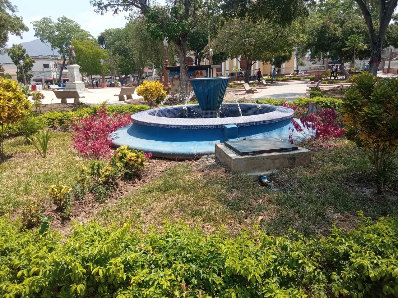 IMG_20240306_114654.jpg