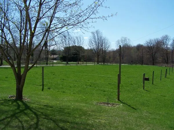 2.Front pasture crop April 07.jpg